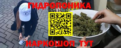 шишки Бузулук
