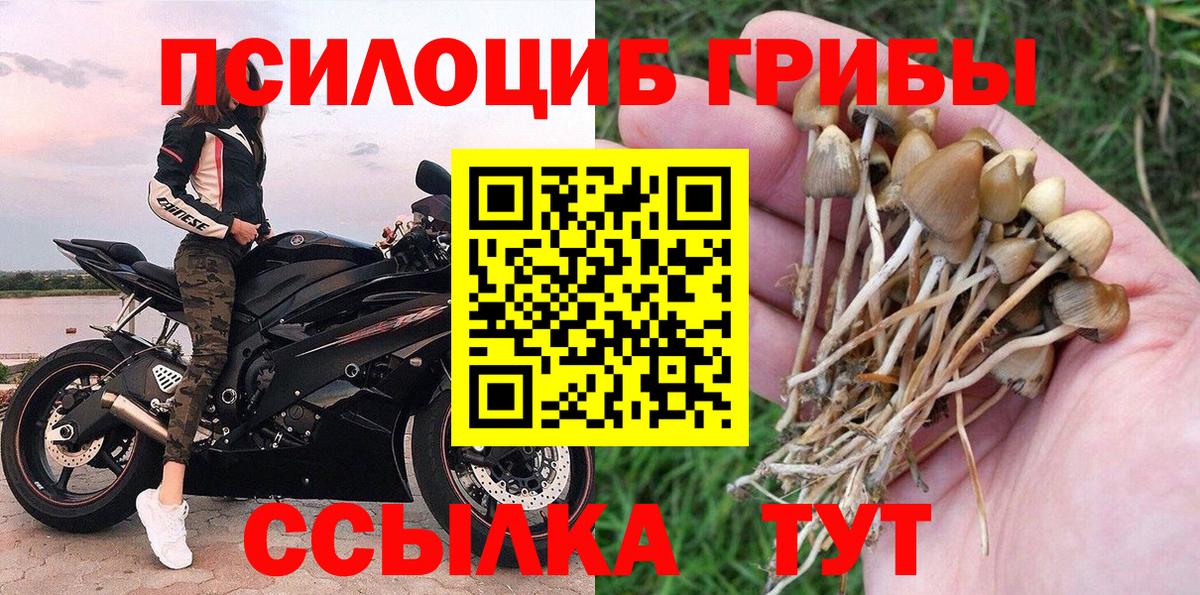 Галлюциногенные грибы мицелий Краснокамск