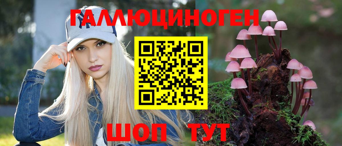закладки  Псилоцибиновые грибы мухоморы  Краснокамск  Вход с VPN  Галлюциногенные грибы Psilocybine cubensis 